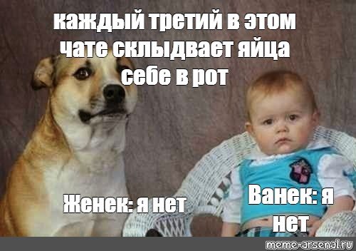 Мем с собакой и ребенком каждый третий
