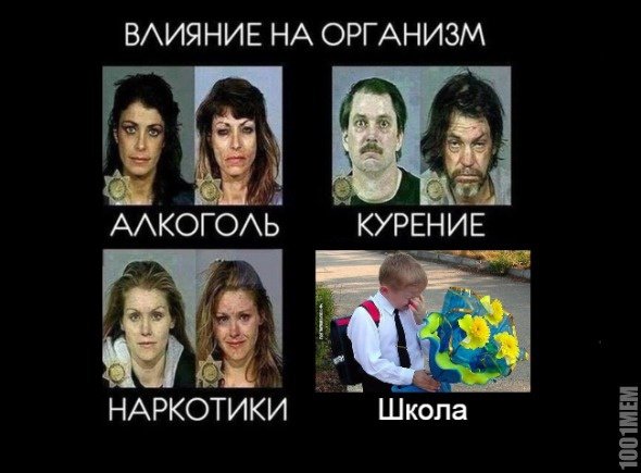 Влияние на организм мемы