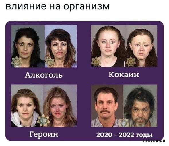 Влияние на организм прикол