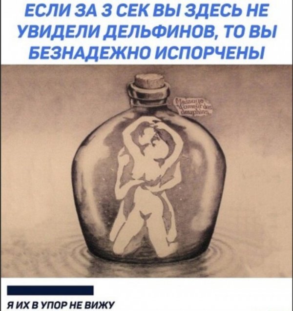 Если вы не видите дельфинов