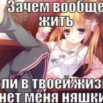 Мемы с няшками