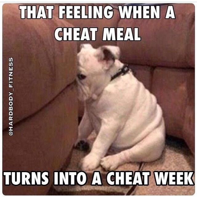 Собака отворачивается