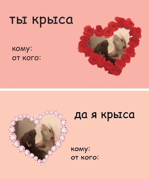 Смешные валентинки