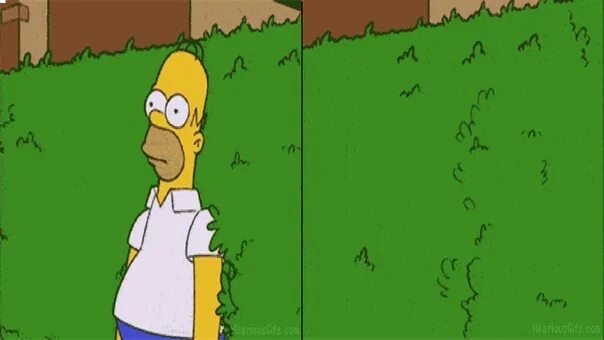 Гомер в кустах