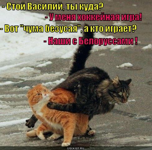 Искушение кота Василия