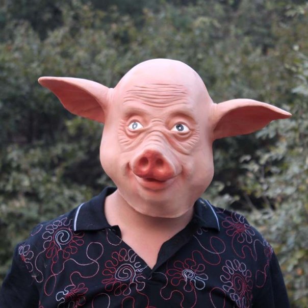 Кабан с лицом человека