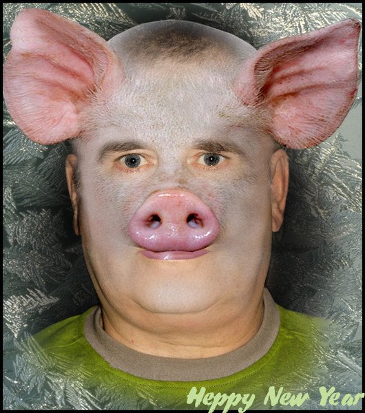 Морда свиньи