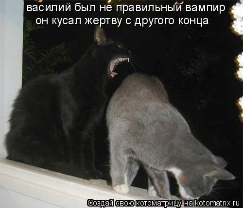 Жертва домашнего Василия кот