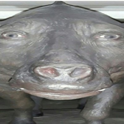 Зеленский Свинка