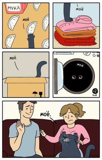 Мемы коты хозяева