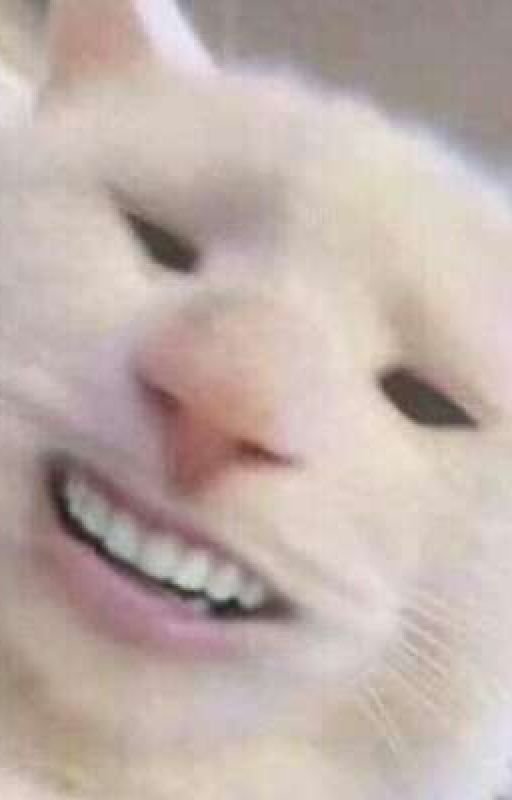 Кот ухмыляется