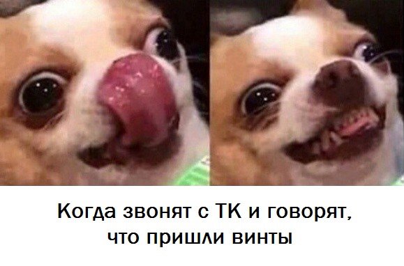 Собачка с языком