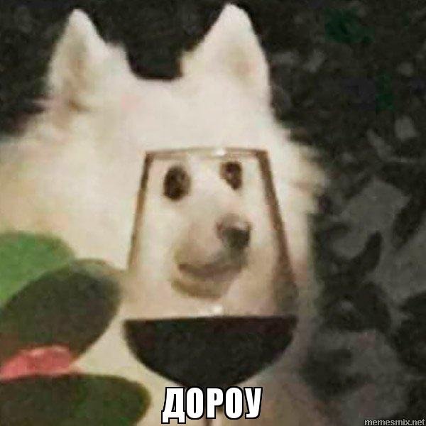 Собака с бокалом