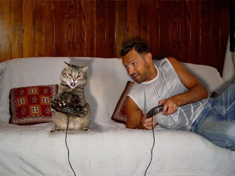 Мужик с котом на диване