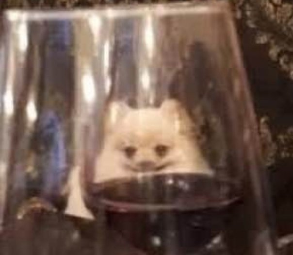 Отражение кота в бокале