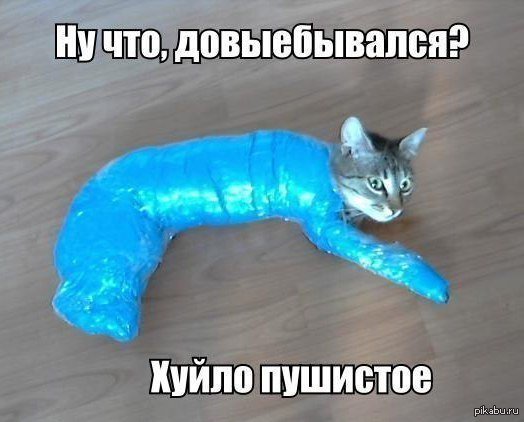 Кот Замотанный в скотч