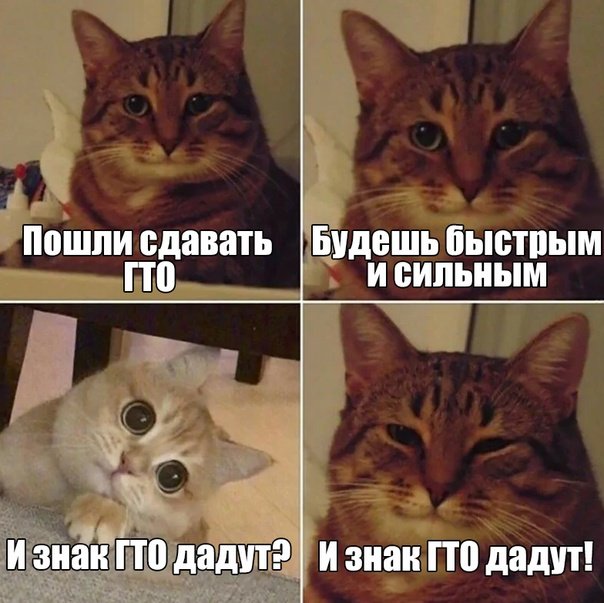 Мем про Икею и фужерчики с котами