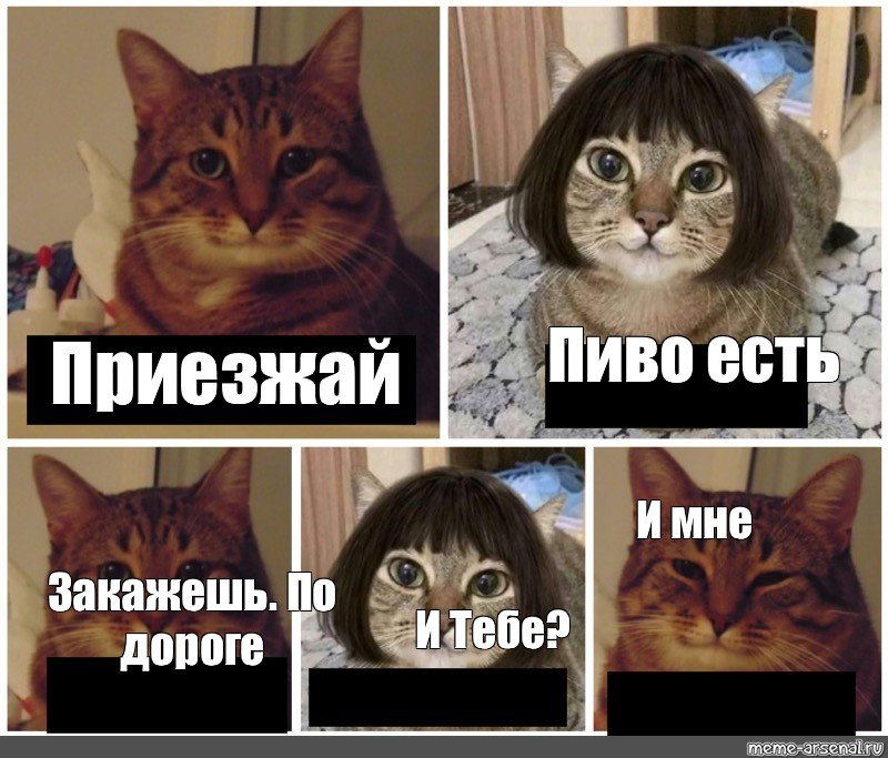 И бокальчики Мем кот