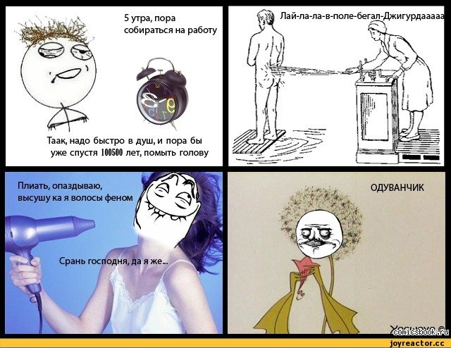 Мемы про фен