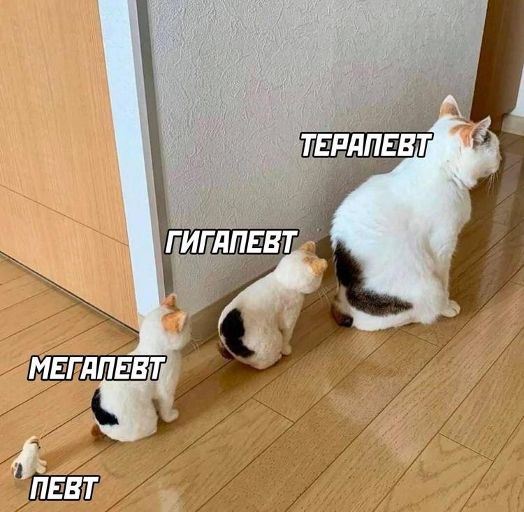 Большой и маленький кот