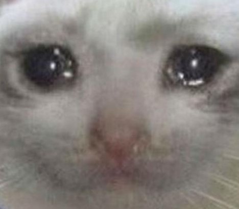 Плачущий кот Мем оригинал