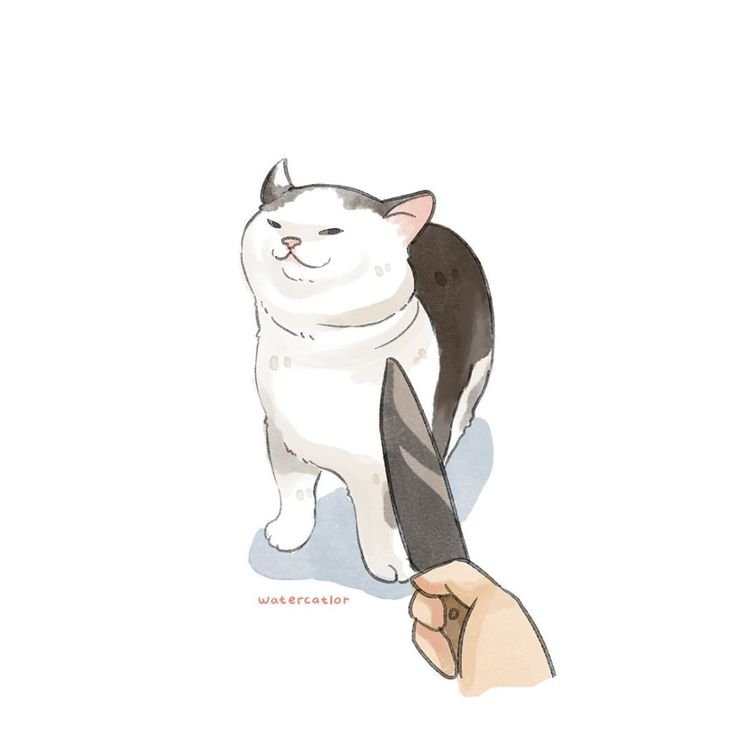 Мемы с котиками арты