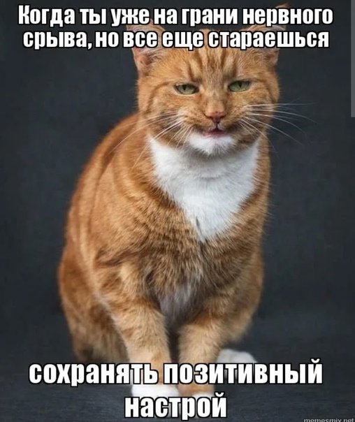Мем на грани нервного срыва
