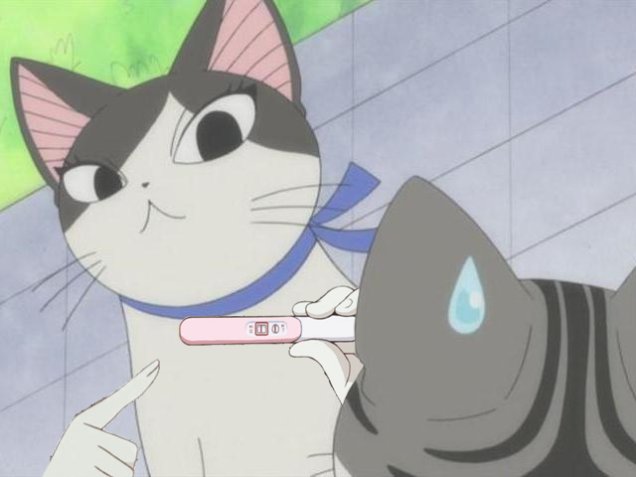 Беременная кошечка аниме