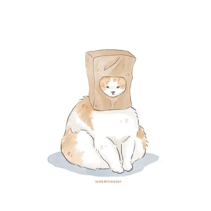 Мемы с нарисованными котами