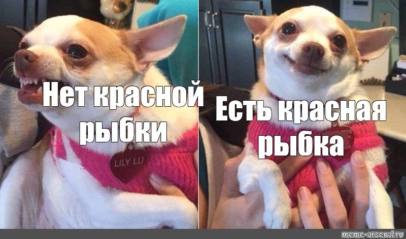 Я голодная я покушала