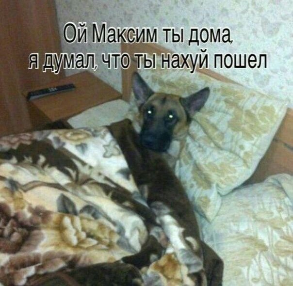 Максим ты что дома