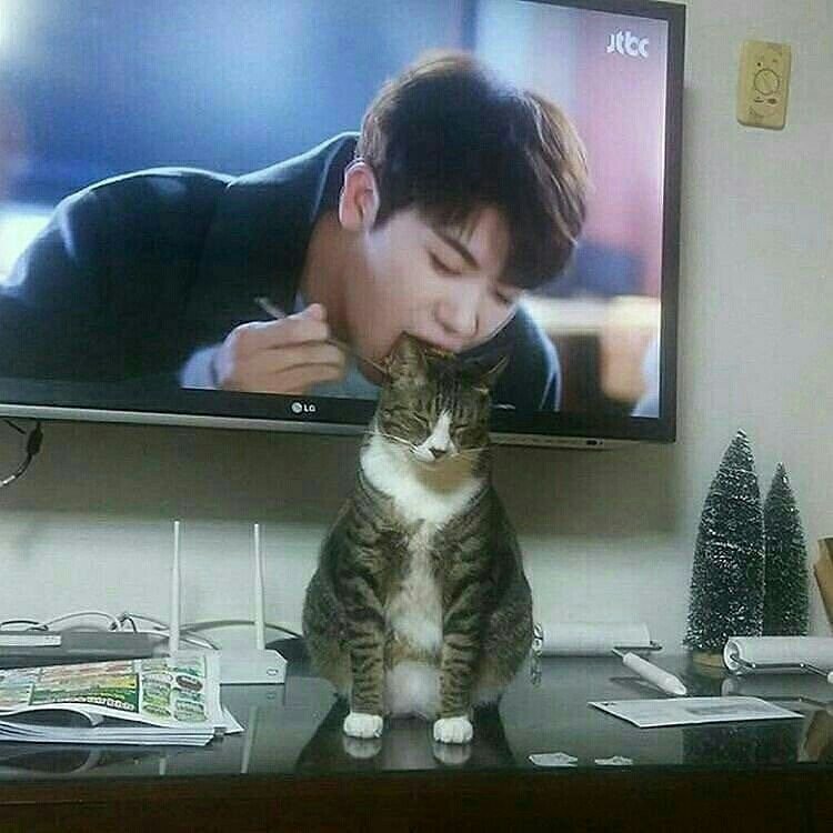 Смешные корейцы