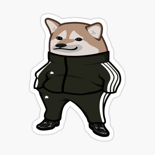 Сиба ину в адидасе