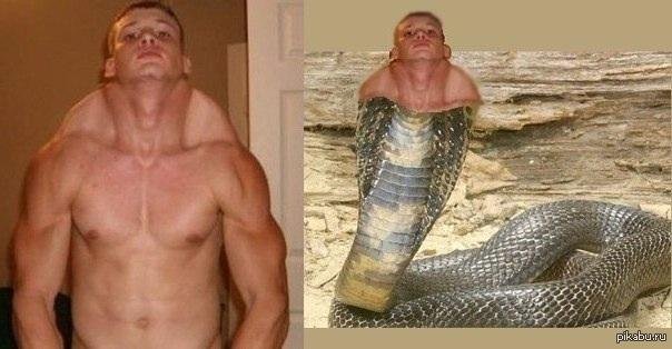 Самая большая шея