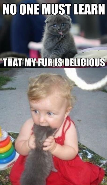 Ребенок и коты Мем