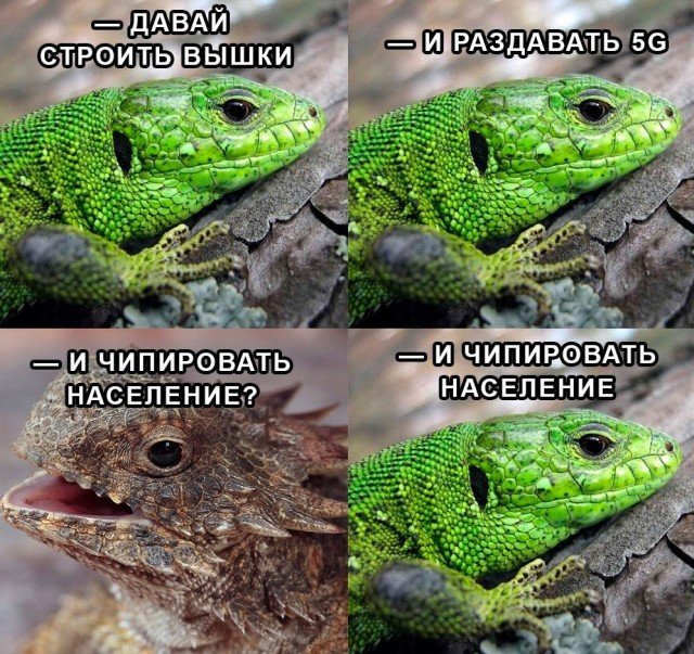 Шутка про рептилоидов