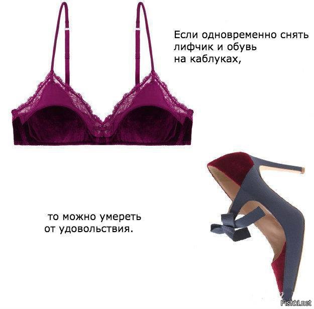 Шутки про бюстгальтер