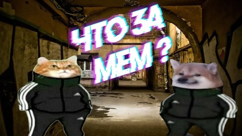 Собака в костюме adidas Мем