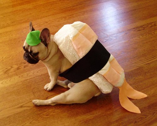 Костюм суши для собаки