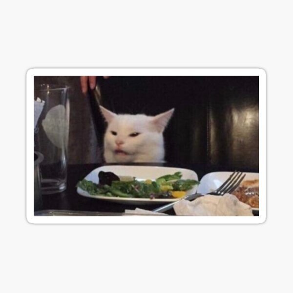 Мем с кошкой за столом