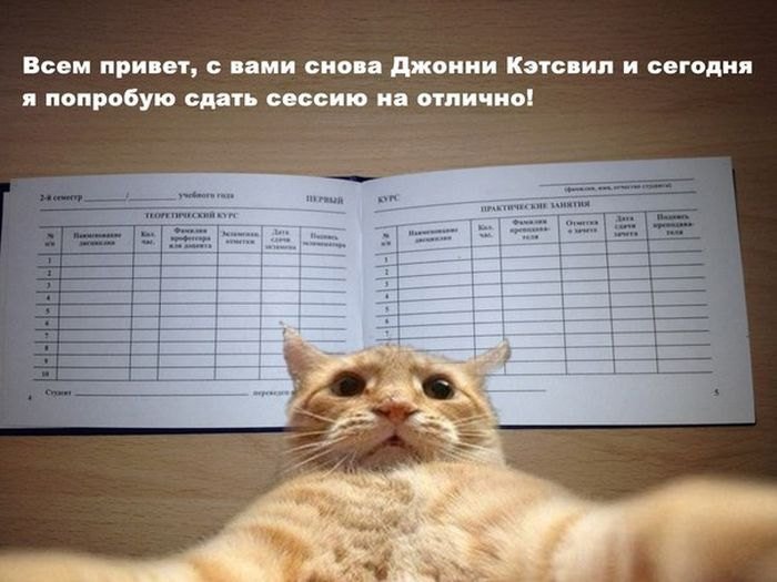 Сессия смешные картинки