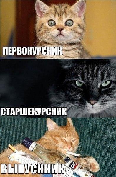 Первокурсник Мем