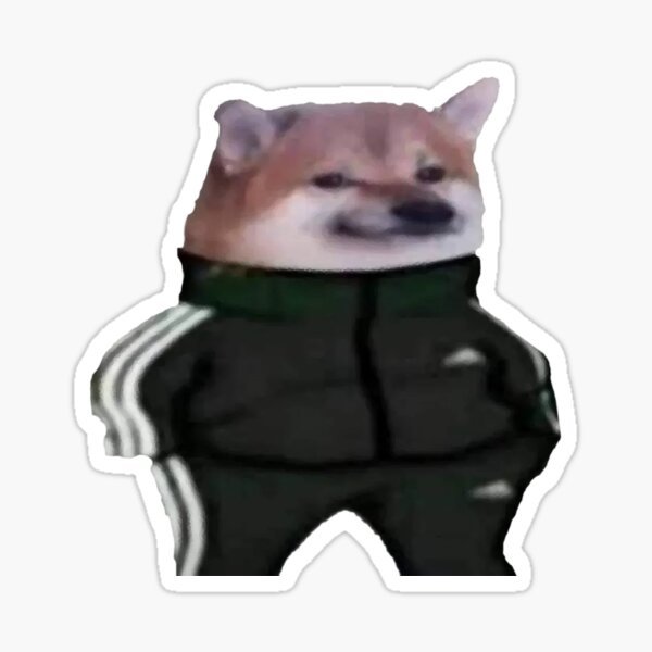 Doge гопник