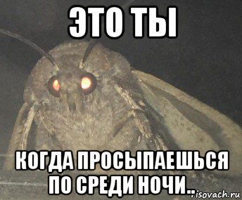 Проснулся посреди ночи