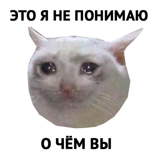 Мемы с котами для стикеров