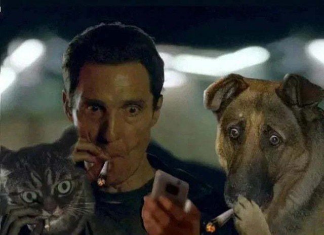 Мэттью Макконахи Мем с сигаретой и собакой