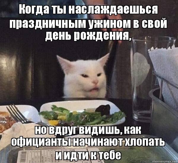 Недовольный кот за столом