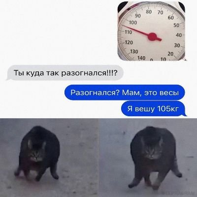 Мемы про вес