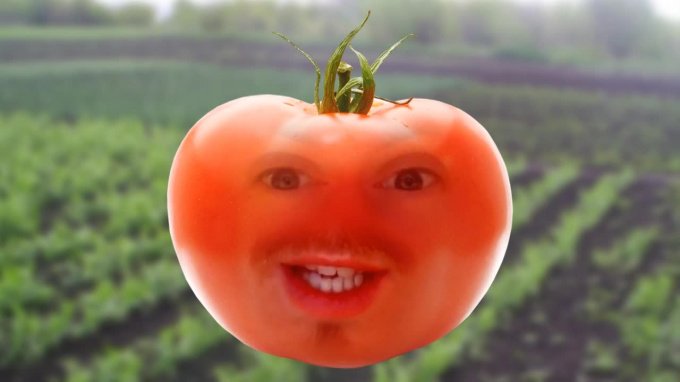 Говорящие овощи