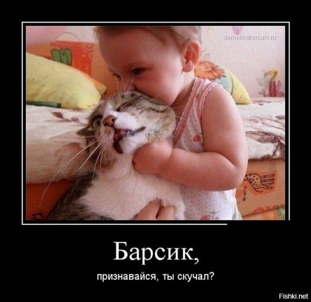 Барсик ты скучал